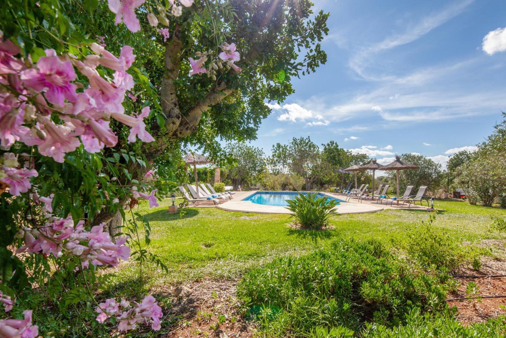 Finca Son Marimon (Adults Only) سنتاني المظهر الخارجي الصورة