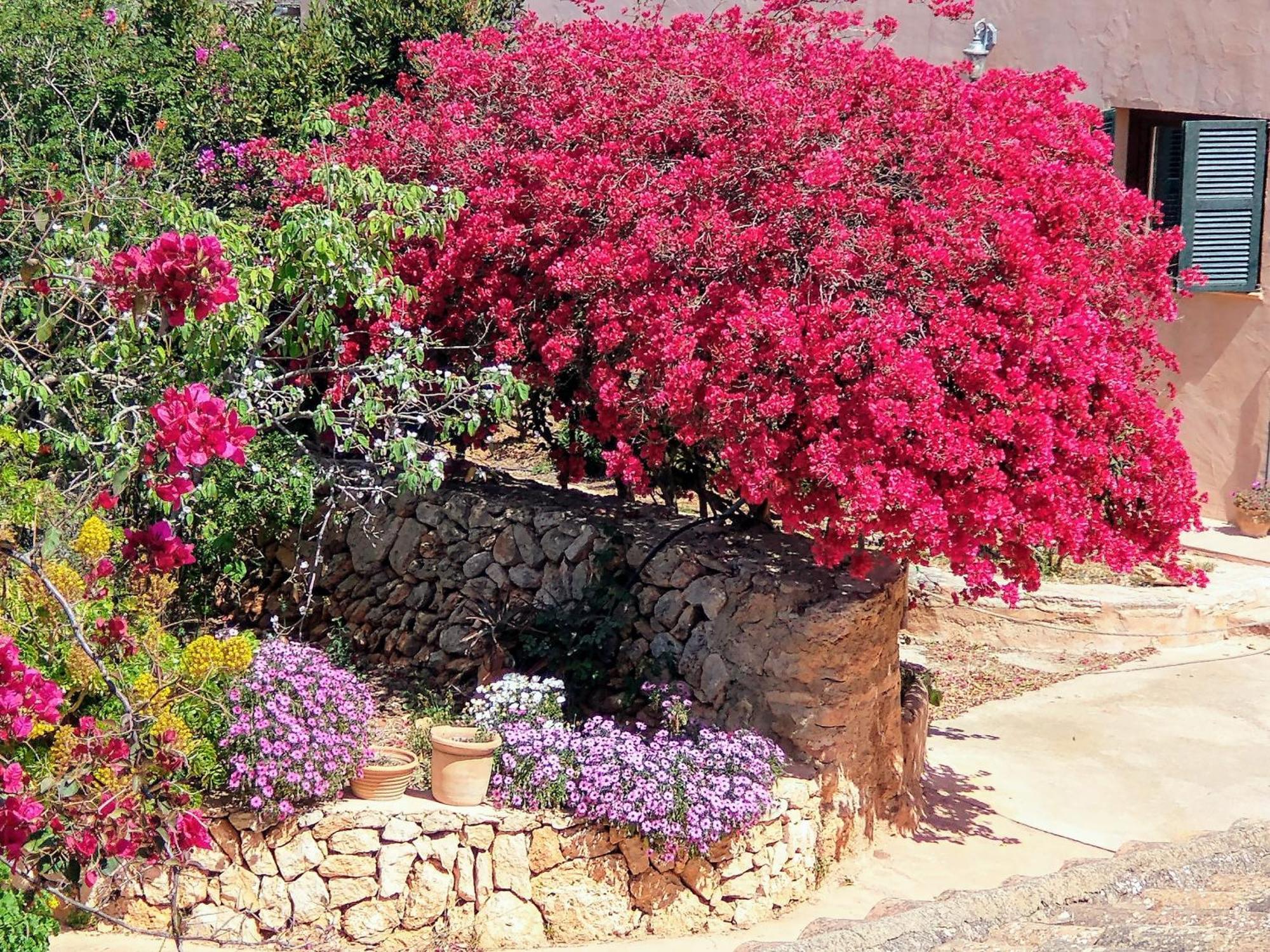 Finca Son Marimon (Adults Only) سنتاني المظهر الخارجي الصورة