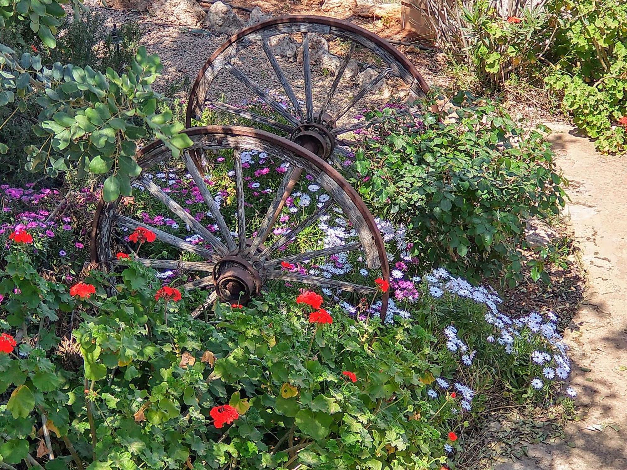 Finca Son Marimon (Adults Only) سنتاني المظهر الخارجي الصورة