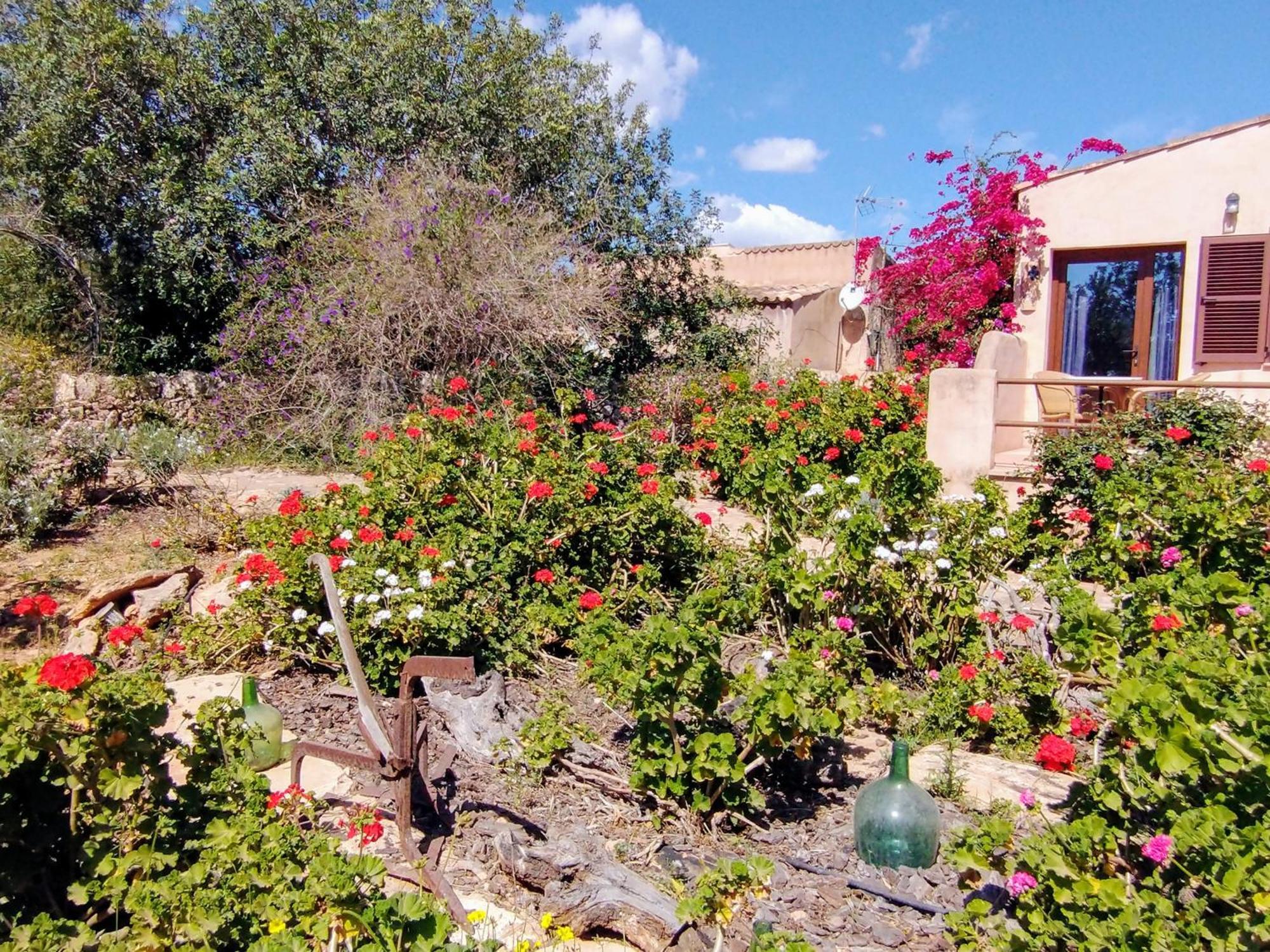Finca Son Marimon (Adults Only) سنتاني المظهر الخارجي الصورة