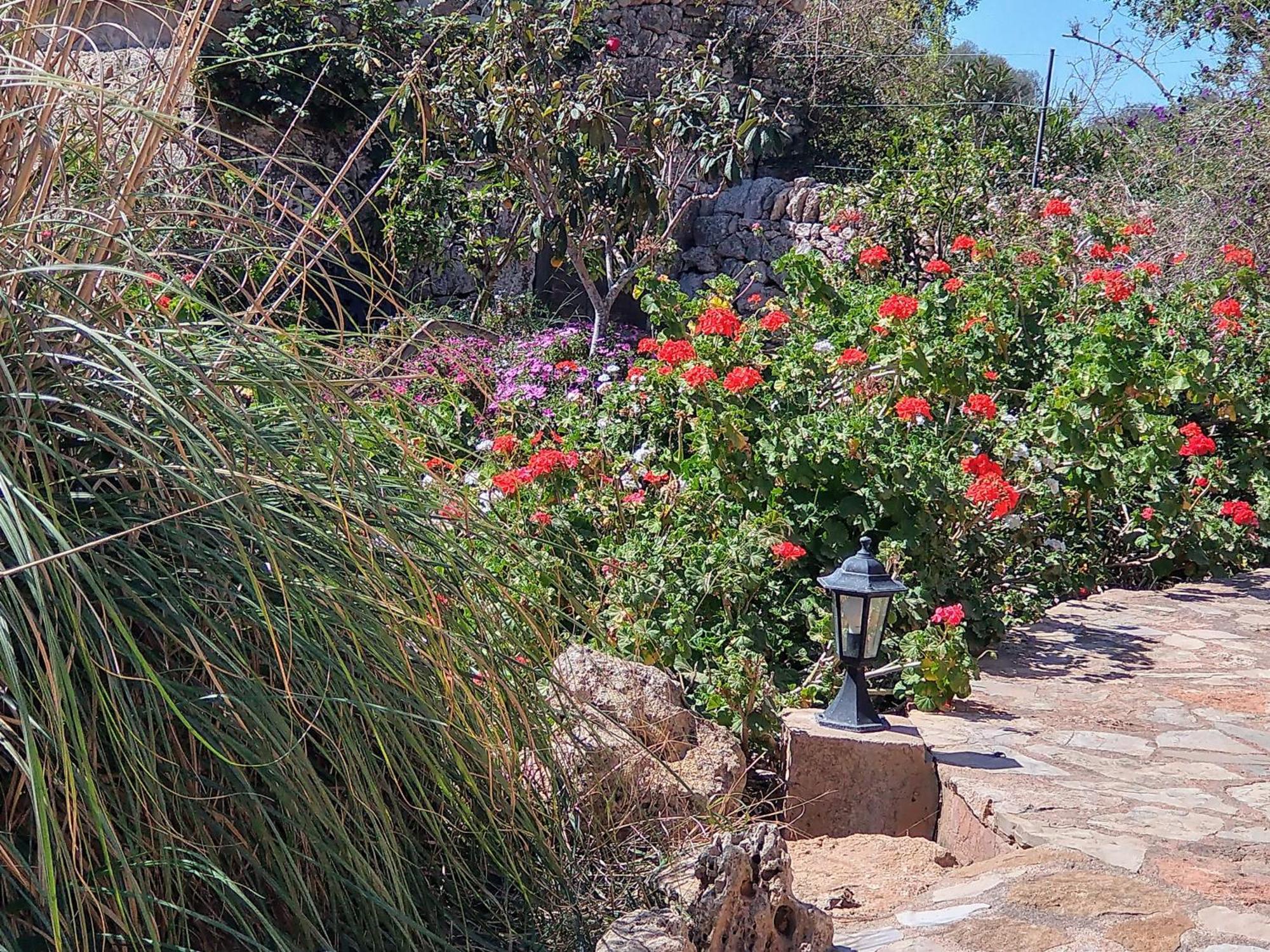Finca Son Marimon (Adults Only) سنتاني المظهر الخارجي الصورة