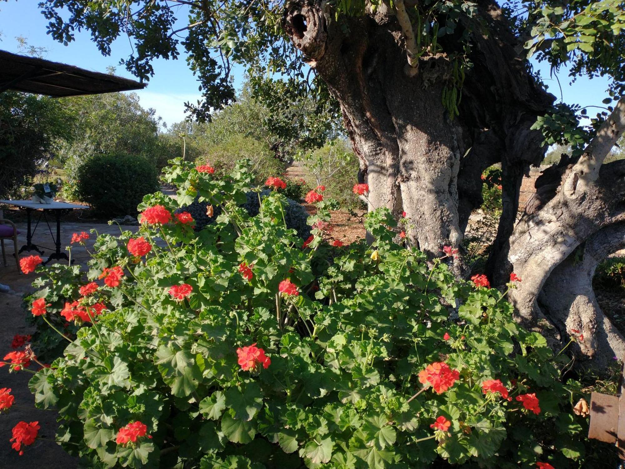 Finca Son Marimon (Adults Only) سنتاني المظهر الخارجي الصورة