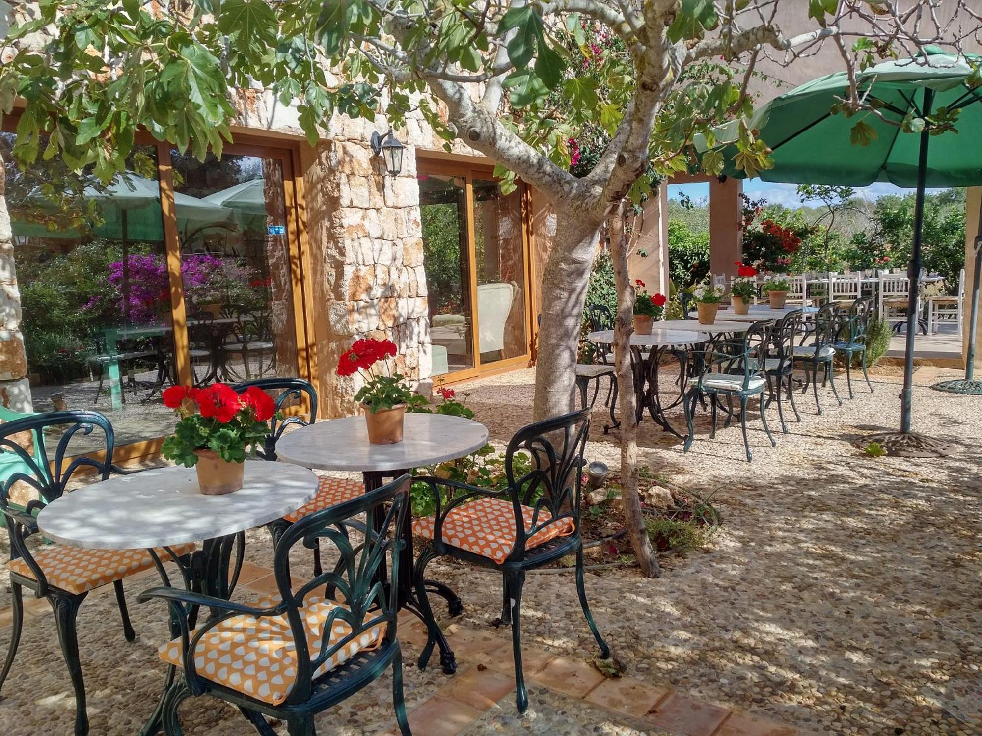 Finca Son Marimon (Adults Only) سنتاني المظهر الخارجي الصورة