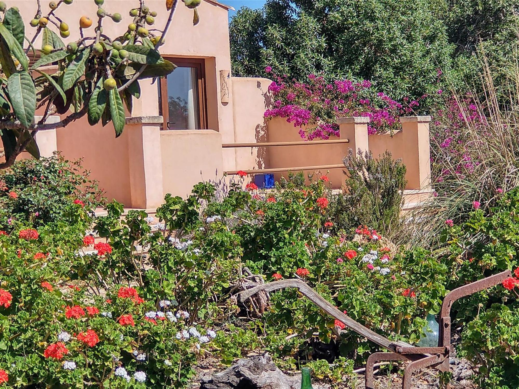Finca Son Marimon (Adults Only) سنتاني المظهر الخارجي الصورة