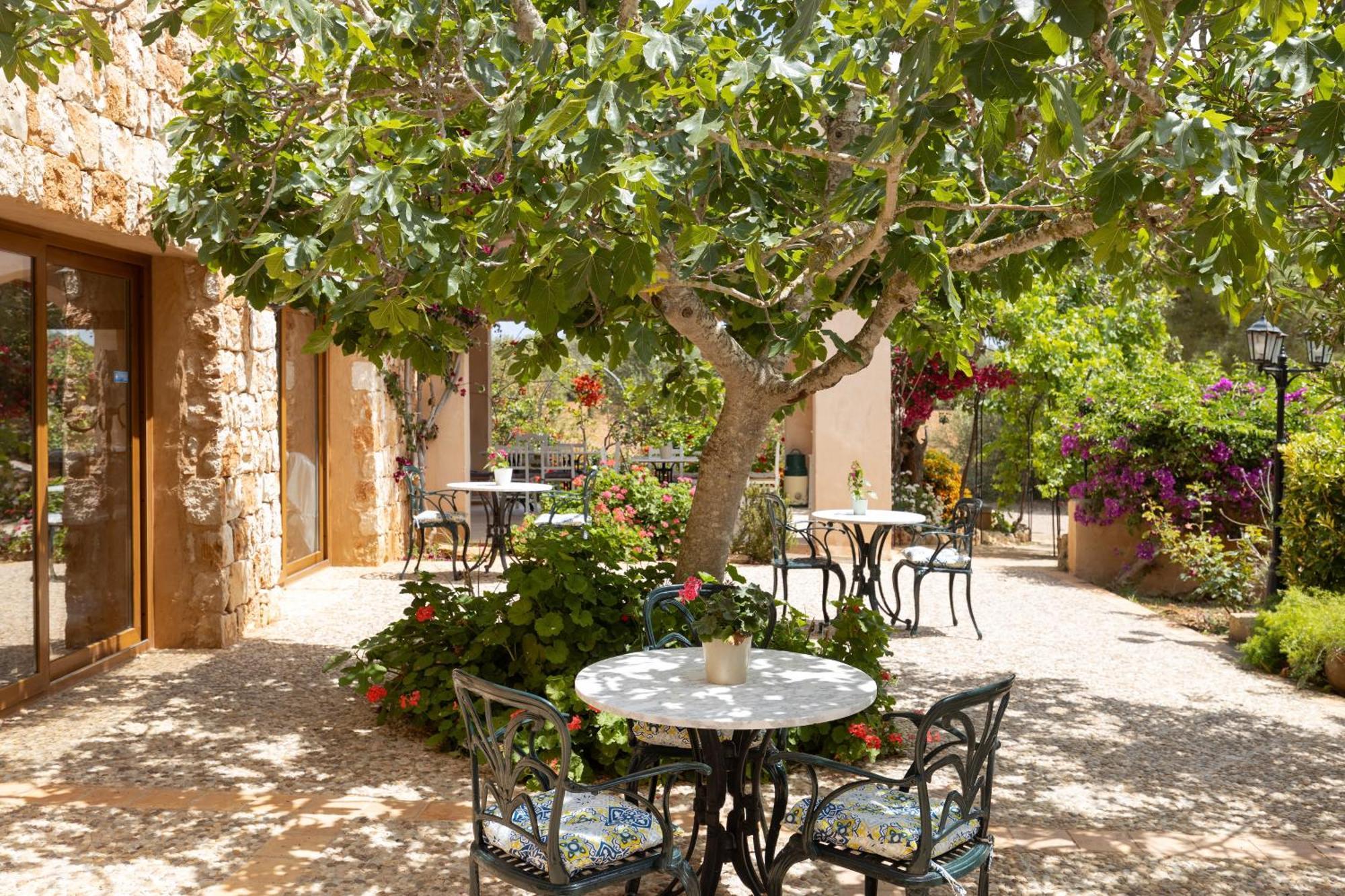 Finca Son Marimon (Adults Only) سنتاني المظهر الخارجي الصورة