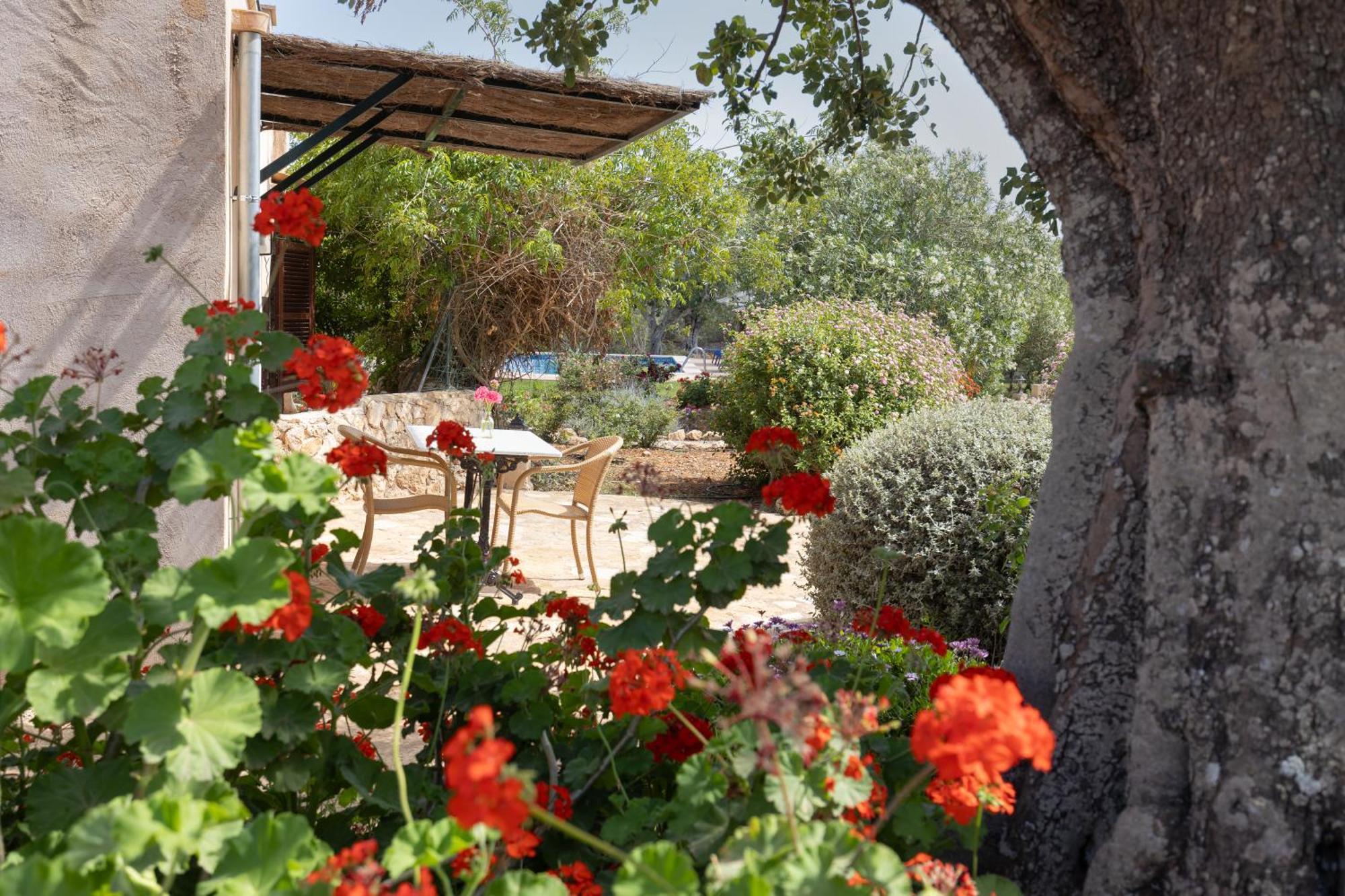 Finca Son Marimon (Adults Only) سنتاني المظهر الخارجي الصورة