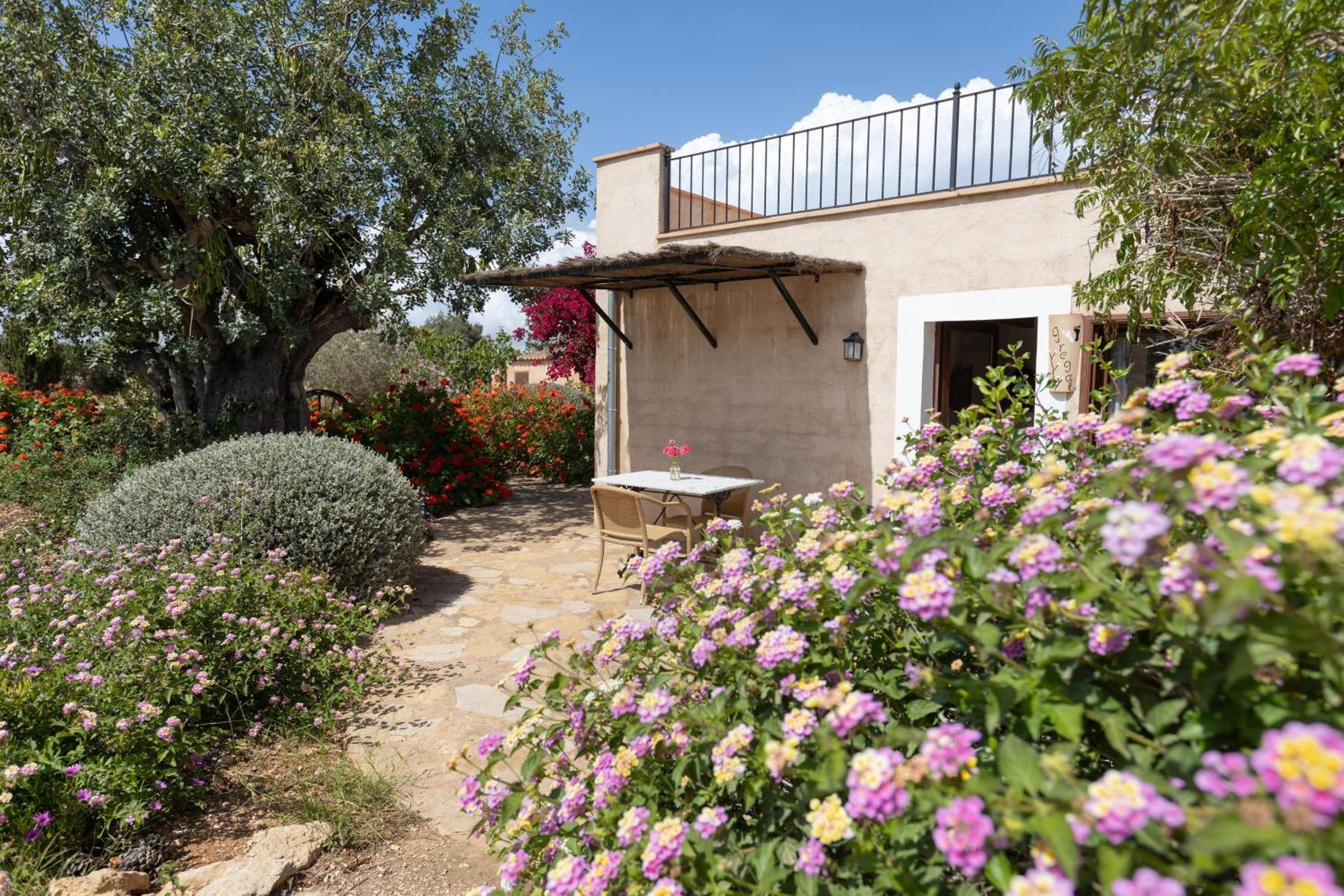 Finca Son Marimon (Adults Only) سنتاني المظهر الخارجي الصورة